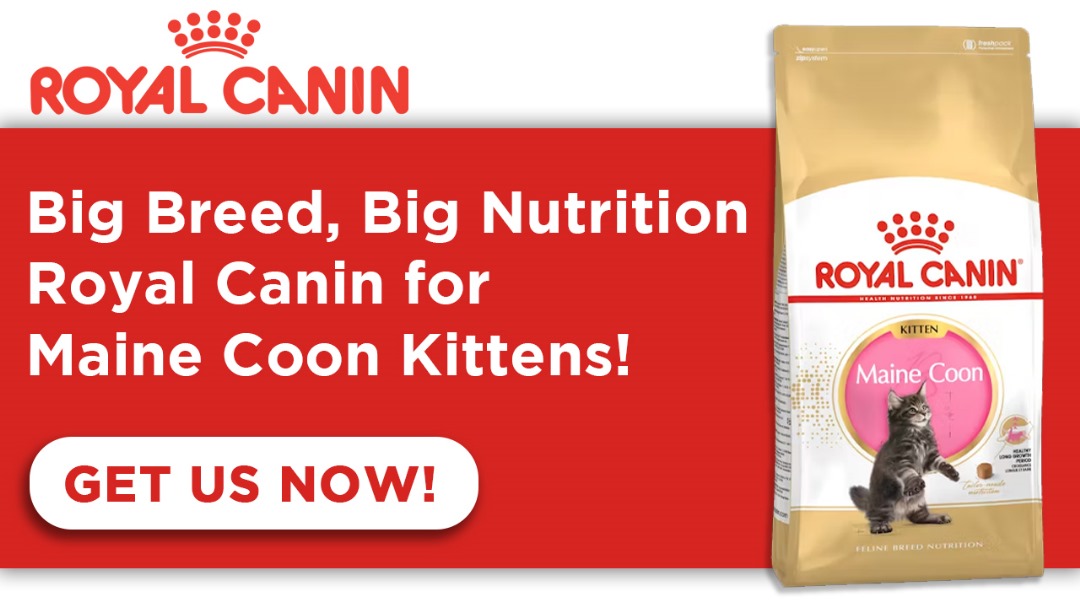 Royal Canin